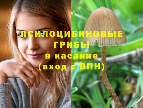 прущий лед Белокуриха