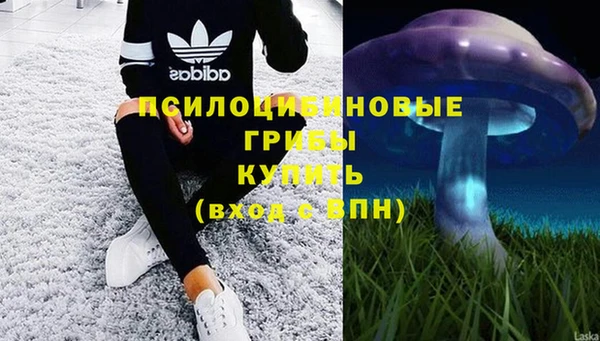 амф Бородино