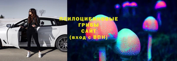прущий лед Белокуриха
