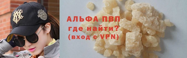 амф Бородино
