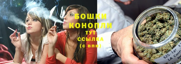 амф Бородино